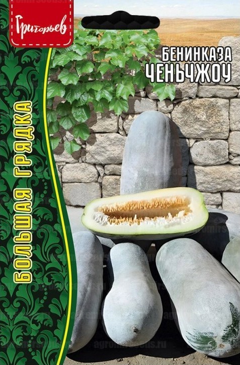 Бенинказа Ченьчжоу Восковая Тыква Большая грядка 5 шт (Ред.Сем)