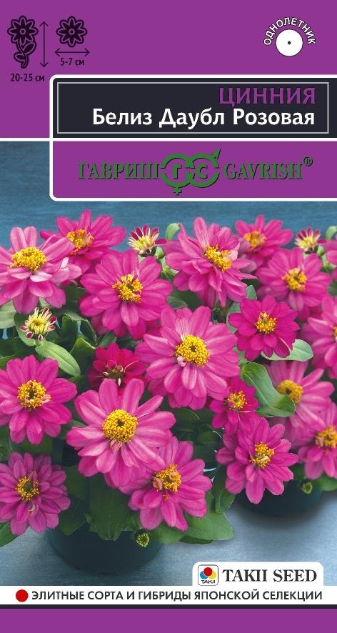 Цинния Белиз даубл розовая эксклюзив 5шт (Гавриш)