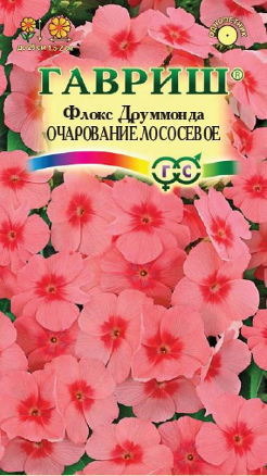 Флокс Друм Очарование лососевое однолетник 0,05г (Гавриш)