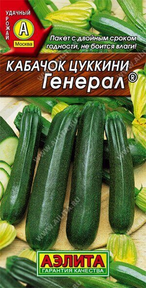 Кабачок Генерал цуккини 1г (Аэлита)