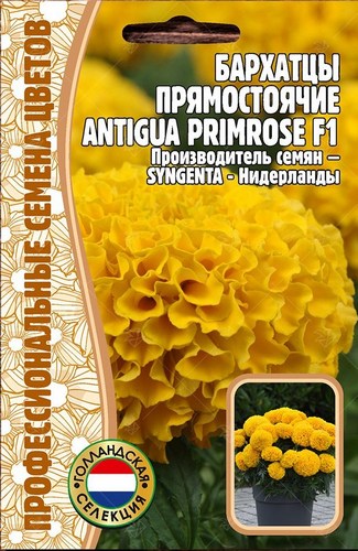 Бархатцы Антигуа Примроуз F1 прямостоячие (Antigua Primrose) (Syngenta) 5 шт. / 12.30 г.