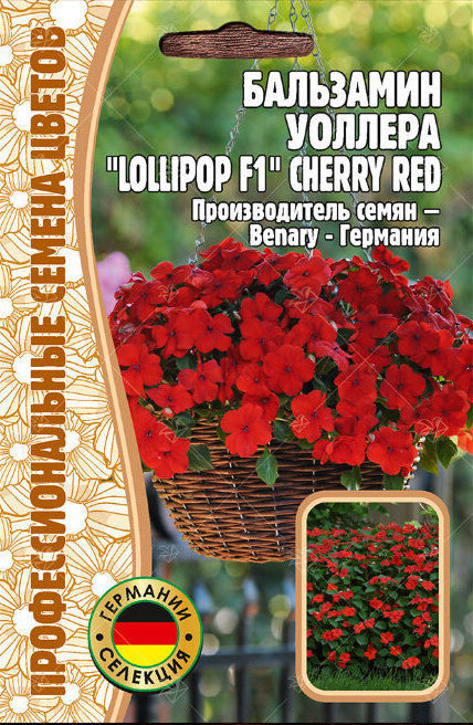 Бальзамин Уоллера Lollipop Cherry Red F1 однолетник 5шт (Ред.Сем)