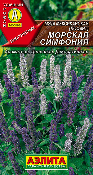 Мята мексиканская Морская симфония 0,05г (Аэлита)