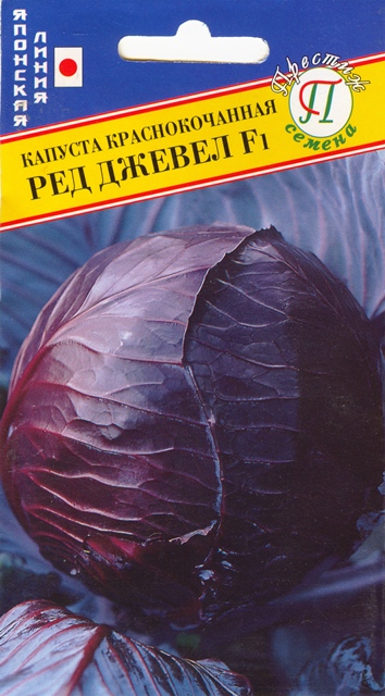 Капуста краснокочанная Ред Джевел F1 15шт (Престиж)