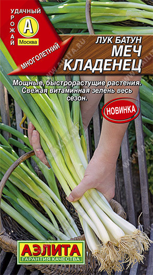 Лук Батун Меч Кладенец 0,5г (Аэлита)