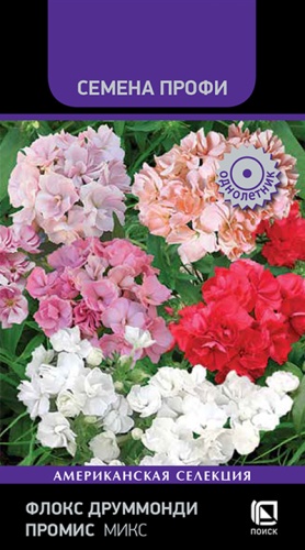 Флокс друм Промис микс ПРОФИ однолетник 10шт (Поиск)