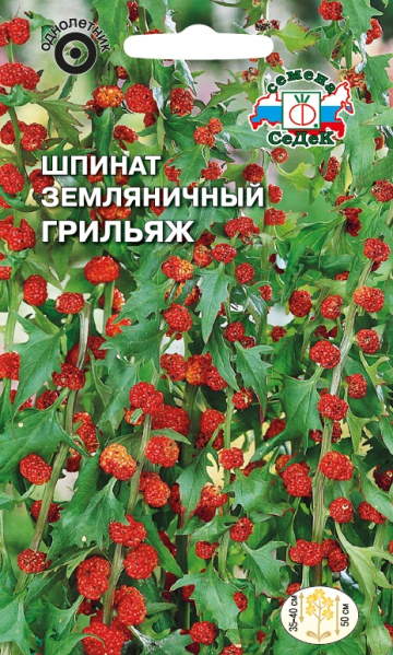 Шпинат Земляничный Грильяж (Седек)