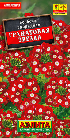 Вербена Гранатовая звезда однолетник 30шт (Аэлита)