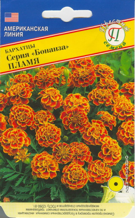 Бархатцы БОНАНЗА Пламя однолетник 10шт (Престиж)
