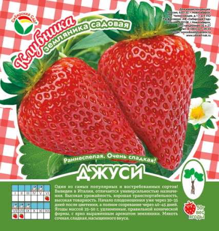 Клубника Джуси А 10шт/пучок (Сиб сад)