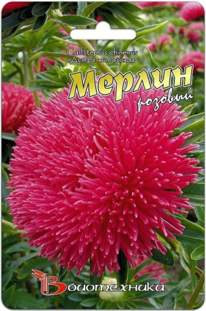Астра МЕРЛИН Розовый однолетник 50шт (Биотехника)
