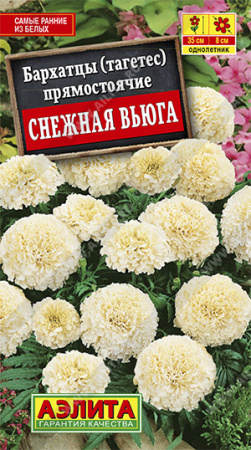 Бархатцы Снежная вьюга однолетник 7шт (Аэлита)