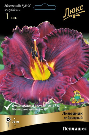 Лилейник Пеплишес 1шт (Поиск)