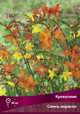 Крокосмия Смесь 6/7 10шт (Поиск)