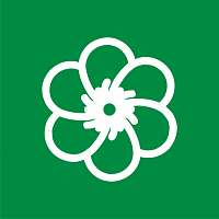 Цветы
