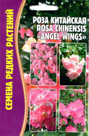 Роза Angel Wings китайская10шт (Ред.сем)