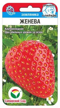 Земляника Женева 10шт (Сиб Сад)