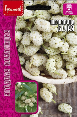 Шелковица Белая 0,1г (Ред.Сем)