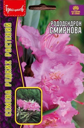 Рододендрон Смирнова 10шт (Ред.сем)