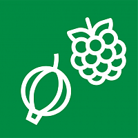 Кустарники/Деревья плодовые