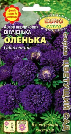 Астра Внученька Оленька карликовая 0,1г (АэлитаЭкстра)