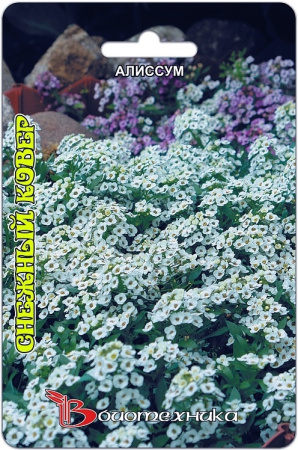Алиссум Снежный ковер однолетник 200шт (Биотехника)