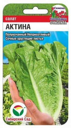 Салат Актина 10шт (Сиб Сад)