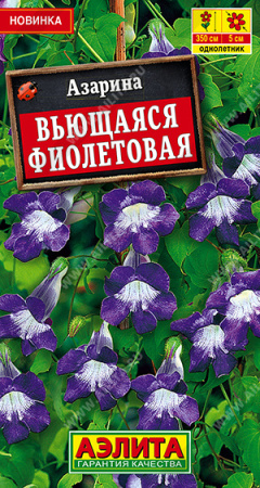 Азарина вьющаяся Фиолетовая однолетник 5шт (Аэлита)