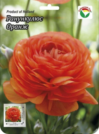 Ранункулюс Оранж 6/7 15шт (Сиб сад)