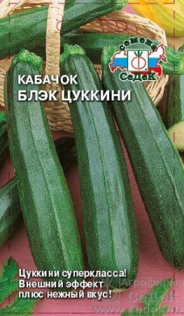 Кабачок Блэк цуккини 2г (Седек)