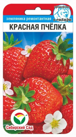 Земляника Красная пчелка 10шт (Сиб Сад)