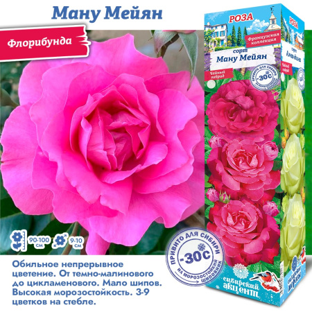 Роза Ману Мейян (Флорибунда) 1шт (Сиб сад)