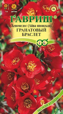 Хеномелес (Айва)  Домашнее варенье 10шт (Аэлита)