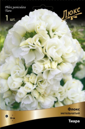 Флокс Тиара 1шт (Поиск)