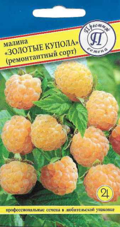 Малина Золотые купола ремонтантная 10шт (Престиж)