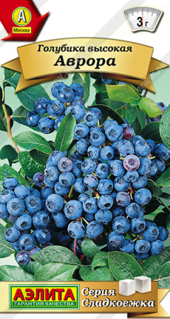 Голубика Аврора высокая 0,01г (Аэлита)